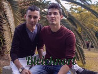 Bleicknort