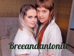 Breeandantonia