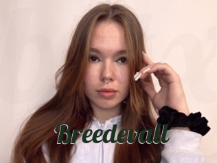 Breedevall