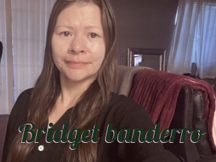 Bridget_banderro