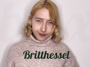 Britthessel