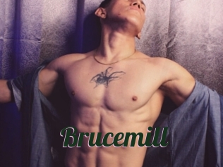 Brucemill