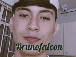 Brunofalcon