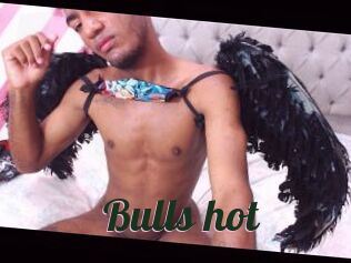 Bulls_hot