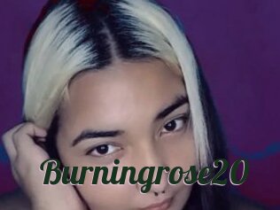 Burningrose20