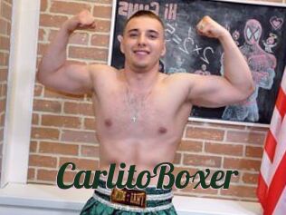 CarlitoBoxer