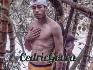CedricGovea