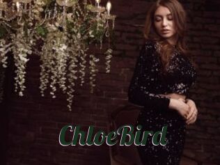 ChloeBird