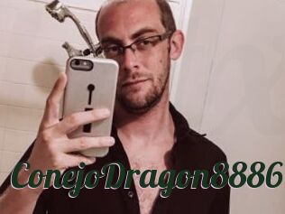 ConejoDragon8886