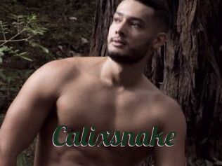 Calixsnake