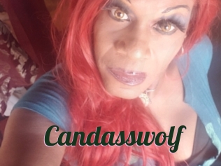 Candasswolf