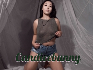 Candicebunny