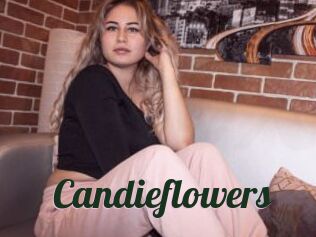 Candieflowers
