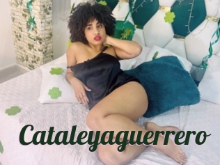 Cataleyaguerrero