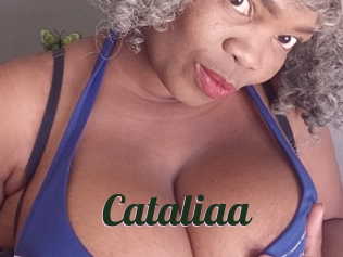 cataliaa Bottin X