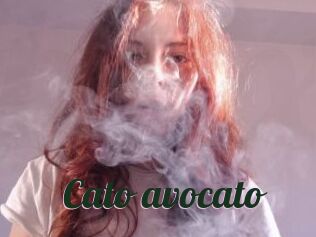 Cato_avocato