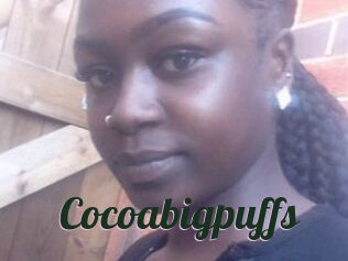 Cocoabigpuffs