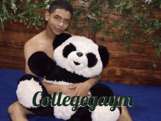 Collegegaym