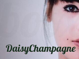 DaisyChampagne