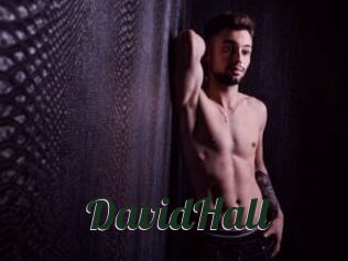 DavidHall