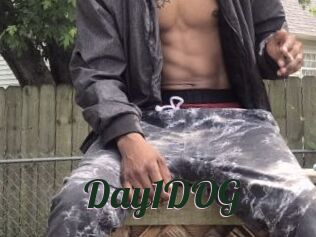 Day1DOG