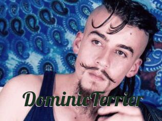 DominicTerrier