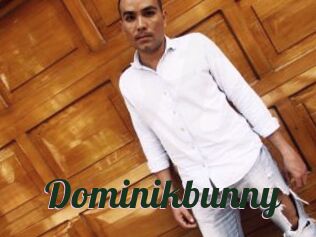 Dominikbunny
