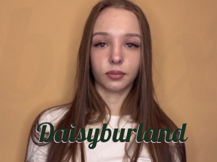 Daisyburland