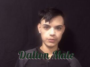 Dalton_Male