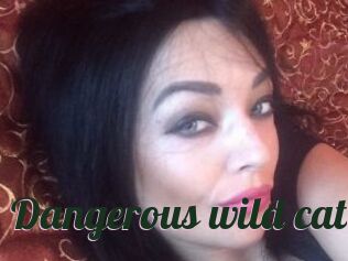 Dangerous_wild_cat