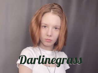 Darlinegrass