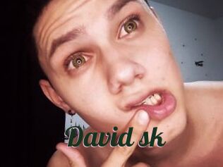 David_sk