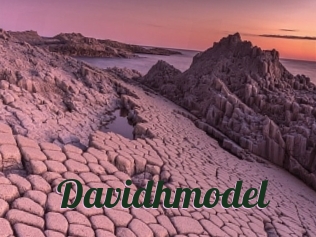 Davidhmodel