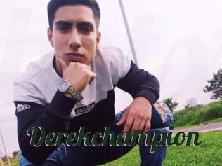 derekchampion Bottin X