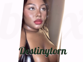 Destinytorn