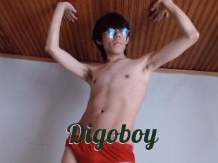 Digoboy