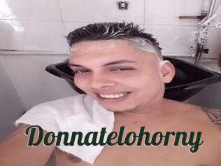 Donnatelohorny