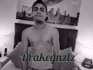 Drakegnzlz