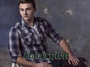 Elscorpion