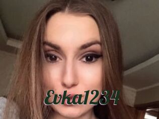 Evka1234