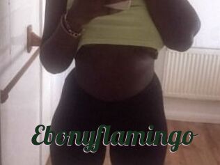 Ebony_flamingo