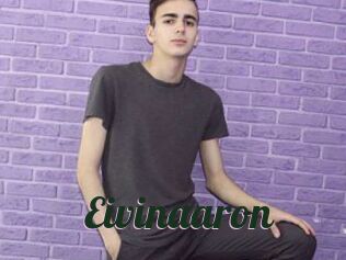 Eivinaaron