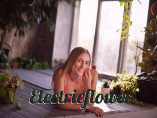 Electricflower