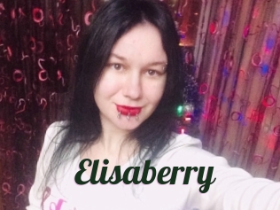 Elisaberry