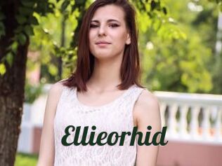 Ellieorhid