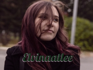 Elvinaatlee