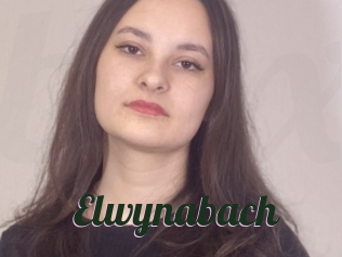 Elwynabach