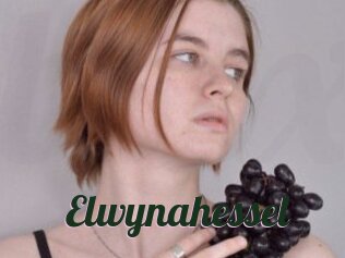 Elwynahessel
