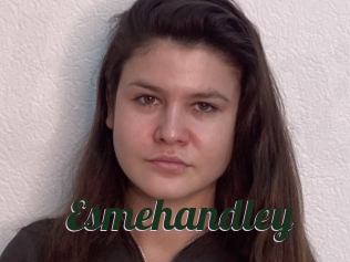 Esmehandley