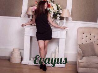 Evayus